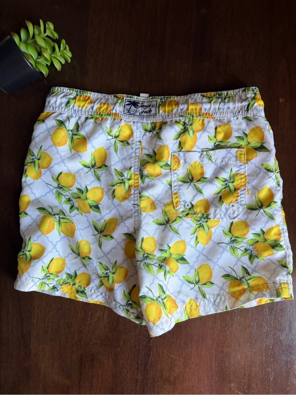 Janie And Jack Lemon Print Swim Trunks Short Size 5